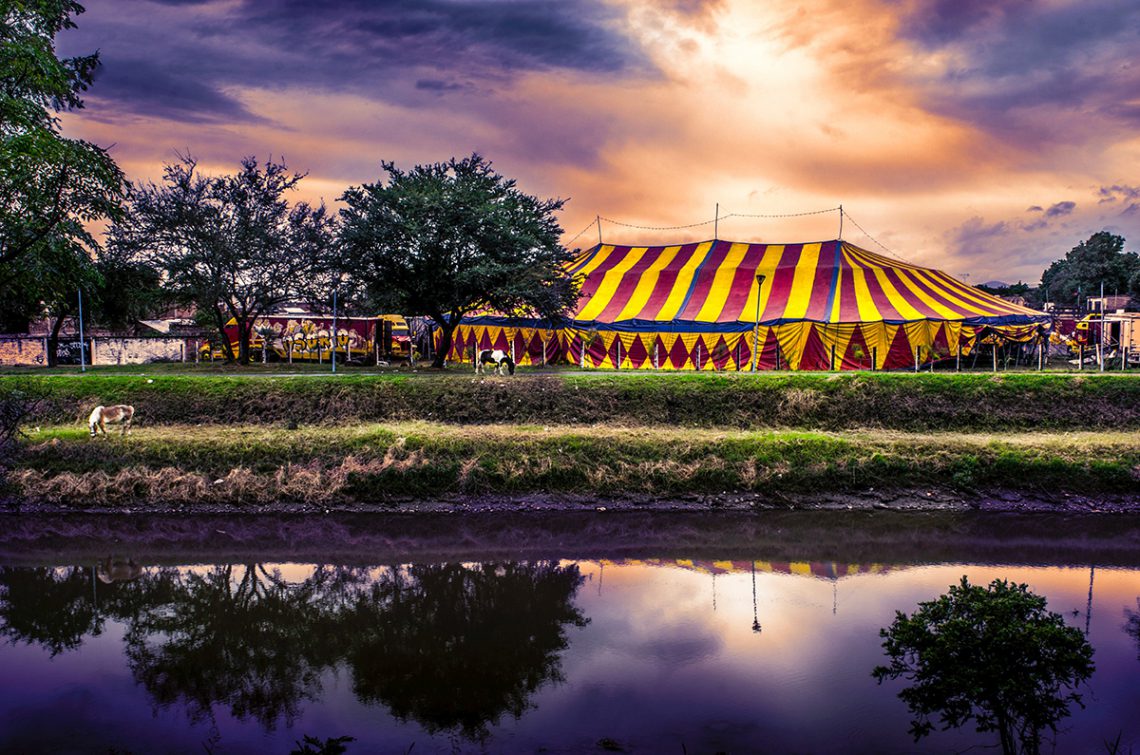 Festival tenten